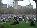 Lite lugn och ro i Central Park. Inte så mycket folk här.