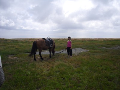 I Danmark red vi på Islandshästar och det var kul..Det var Jag och Min familj och kusiner som var med.    
