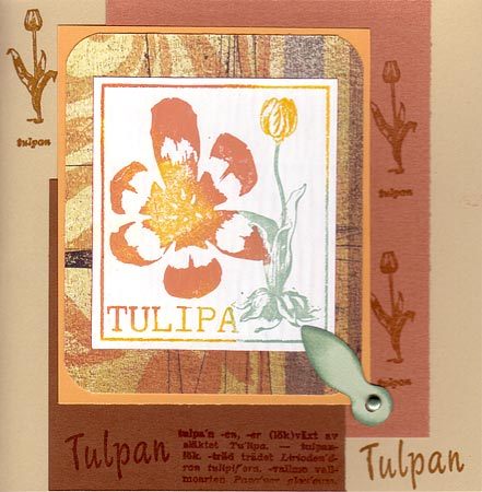 Elisa - Tulipa