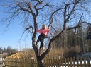 Jaa.. efter mycket kämpande så kom jag äntligen upp i trädet! Haha!  Att klättra i träd är nog inte riktigt min grej! :D