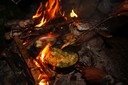 Matlagning, wokade grönsaker, dillkokt potatis och halstrad öring med purjolök, vitlök, svamp, majs och grädde. :D