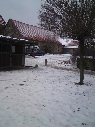 gården, med snö!