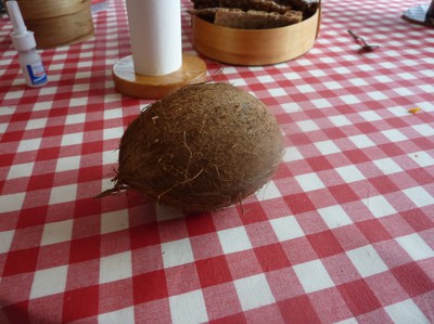 Här är min kokosnöt =)