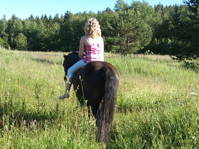 jag är världens bästa ponny jag är en fin i hopp och dressyr.. =)