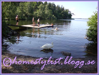 Svan vid sjön. Copyright homestylist.blogg.se