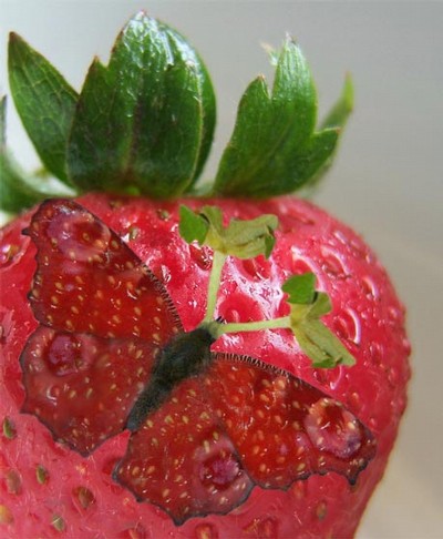 en jordgubbsfjäril på en jordgubbe