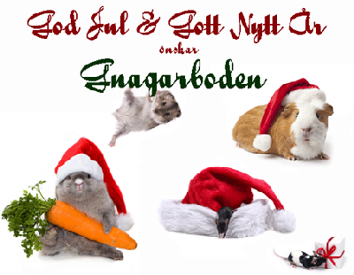 Gnagarboden önskar god jul med bild med kanin, marsvin, mus, råtta och hamster.