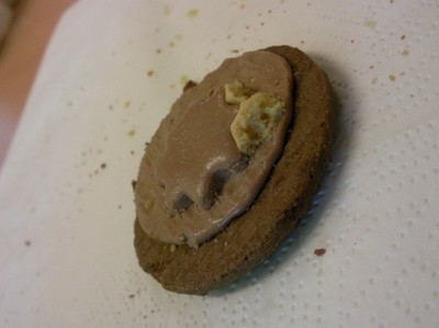 Bild på en cookie som sabina tog för 2 månader sen på vår mentors tid, saknaden är stor..