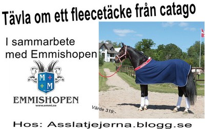 http://asslatjejerna.blogg.se/2011/september/tavla-om-ett-catago-fleecetacke.html#comment