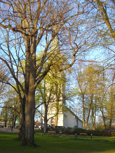 Valborgsmässoafton i parken med utsikt mot kyrkan.. 