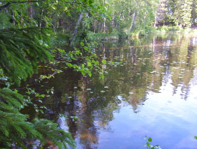 Bäcksjön5