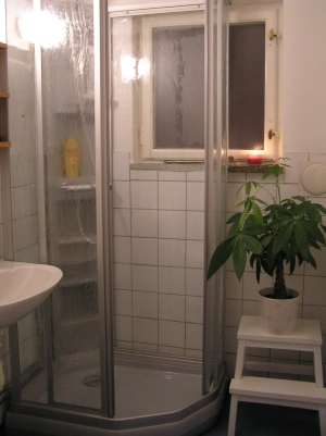 Badrummet med duschkabinen
