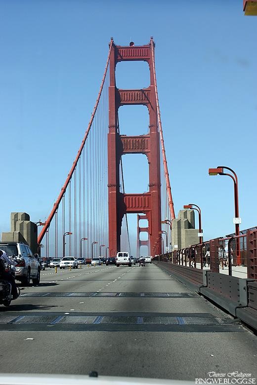 Golden Gate bron