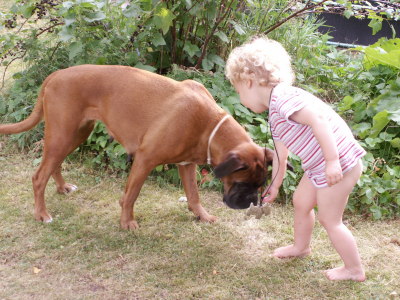 Barn och hund