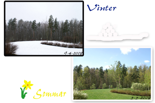 Vinter Sommar 2008