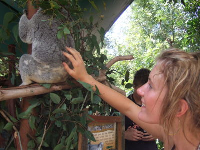 zoo jag och koala