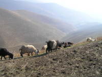 Tadzjikiska sluttningar