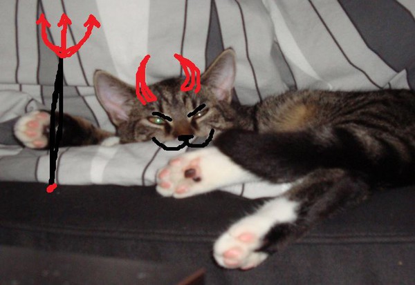 The Evil Cat of Evil Dooooom