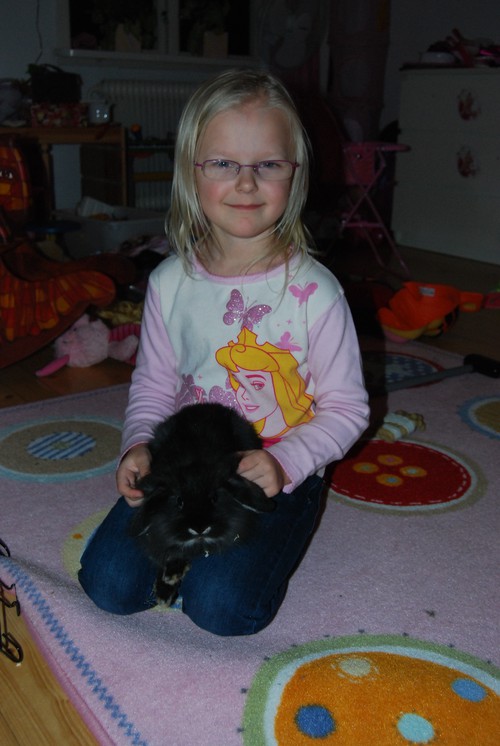 Joline fick en kanin i julklapp som hon är väldigt duktig på att ta hand om med lite hjälp från oss vuxna!  Qoala- Ella var den bästa julklappen tyckte Joline :)