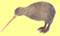 Kiwifågel