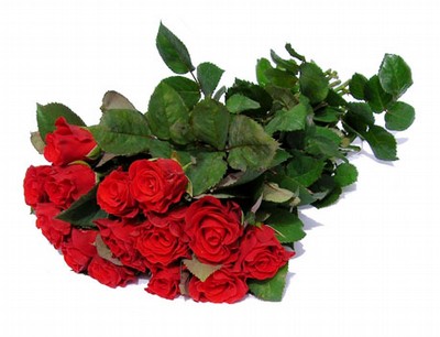 Älskar rosor :D<333