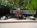 San Diego Zoo =)