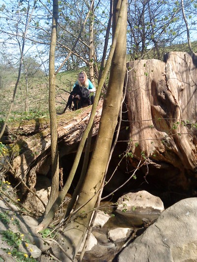 We found this big tree stump! It was amazing!