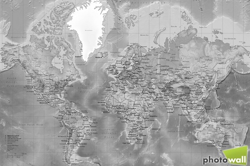 Världskarta fototapet från photowall i grått