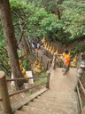 Den fruktansvärda trappan till templet!