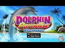 dolphin paradise